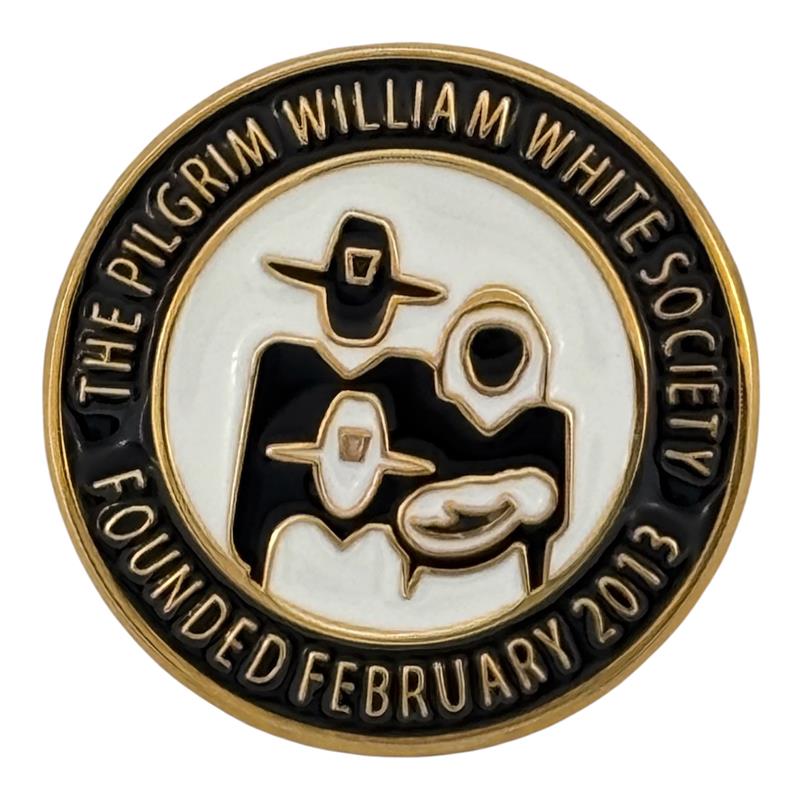 PWWS Lapel Pin picture